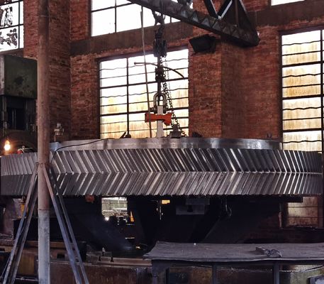 ISO 8-9 Степень точности Рыбковые редукторы Настраиваемый угол спирали для оптимальной производительности